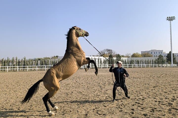 Cultural Journey Across Turkmenistan: Ashgabat, Merv & the Darvaza Gas Crater