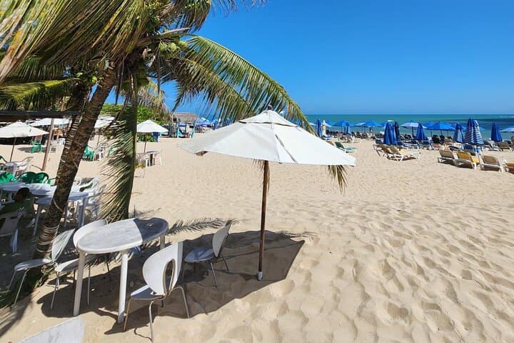 Puerto Plata City Highlights: Umbrella Street, Rum Tasting & Beach Break photo 6