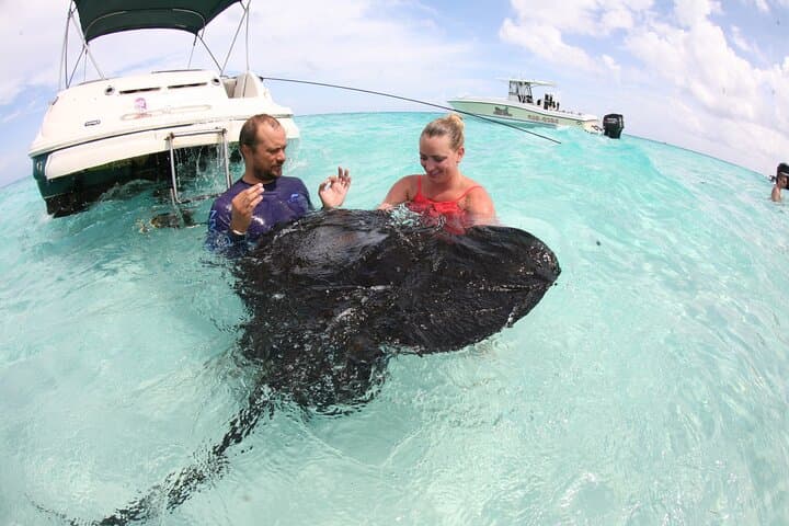 Stingray City & Starfish Point: Half-Day Snorkel Adventure in Grand Cayman photo 2