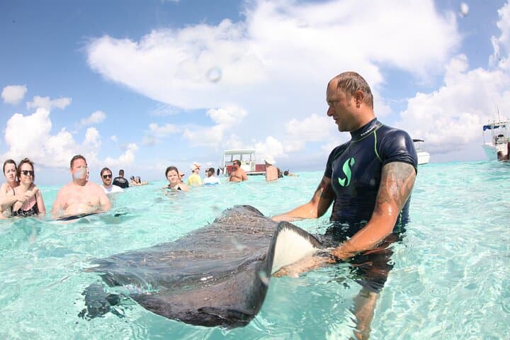 Stingray City & Starfish Point: Half-Day Snorkel Adventure in Grand Cayman