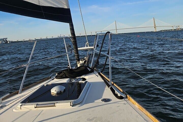 Private Island Adventure Day Trip from Charleston — Dolphins, Birding & Barrier Islands photo 4