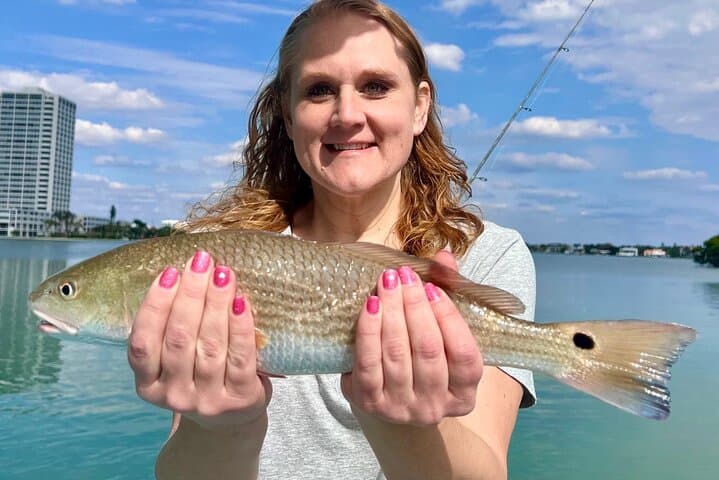 Sarasota Inshore & Gulf Reefs Fishing Charter — 4-Hour Private Trips photo 4