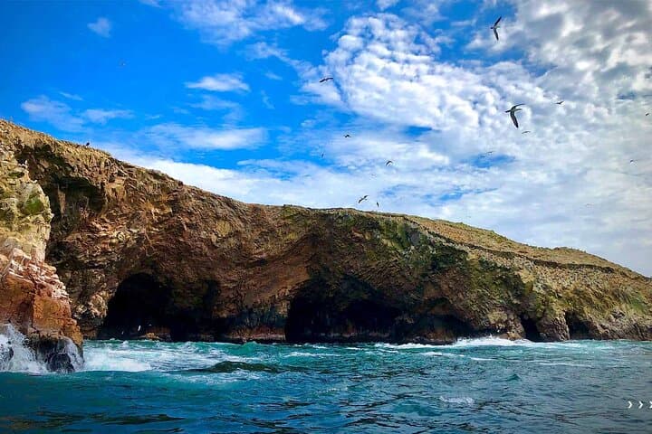 Golden Shadows: Ballestas Islands Speedboat and Paracas Sunset Trek photo 3