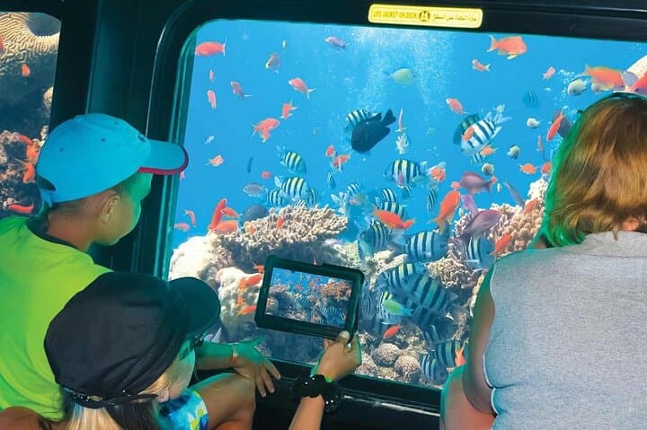 Sharm El-Sheikh Semi-Submarine Cruise: Underwater Viewing on the Red Sea photo 3