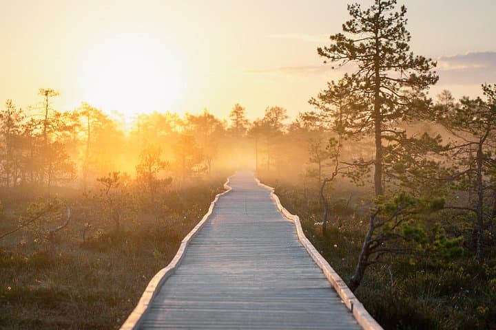 Baltic Impression: 11-Day Cultural Tour of Estonia, Latvia & Lithuania photo 1