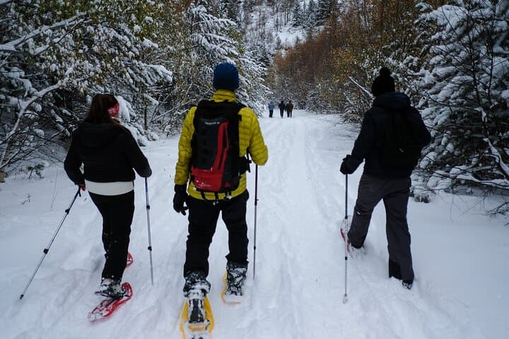 Snowshoe Tours in Andorra: Sorteny, Grau Roig & Bony de les Neres