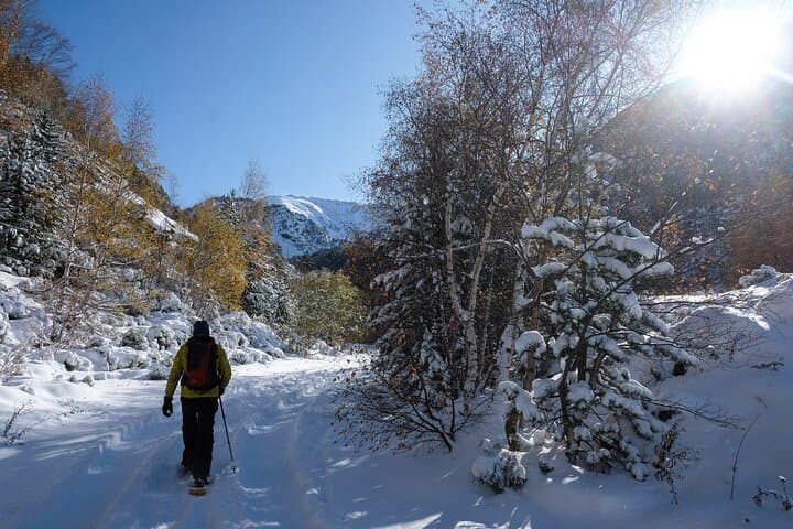 Snowshoe Tours in Andorra: Sorteny, Grau Roig & Bony de les Neres photo 3