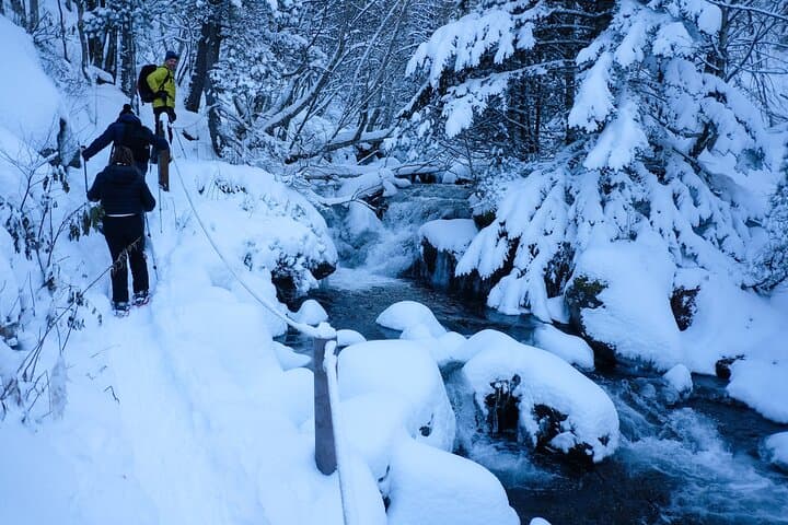 Snowshoe Tours in Andorra: Sorteny, Grau Roig & Bony de les Neres photo 4