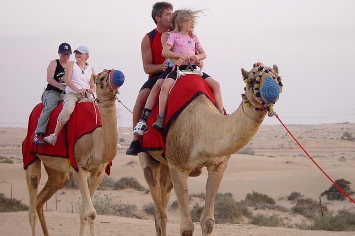 Desert Safari in Dubai's Lahbab Red Dunes: Dune Bashing, Sandboarding & Evening Camp photo 4