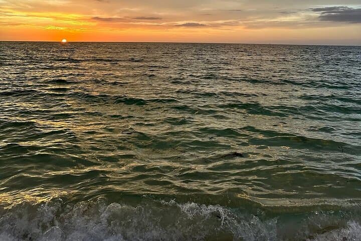 Sunset and Bioluminescent Plankton Dinner at Playa Tranquila, Barú photo 6