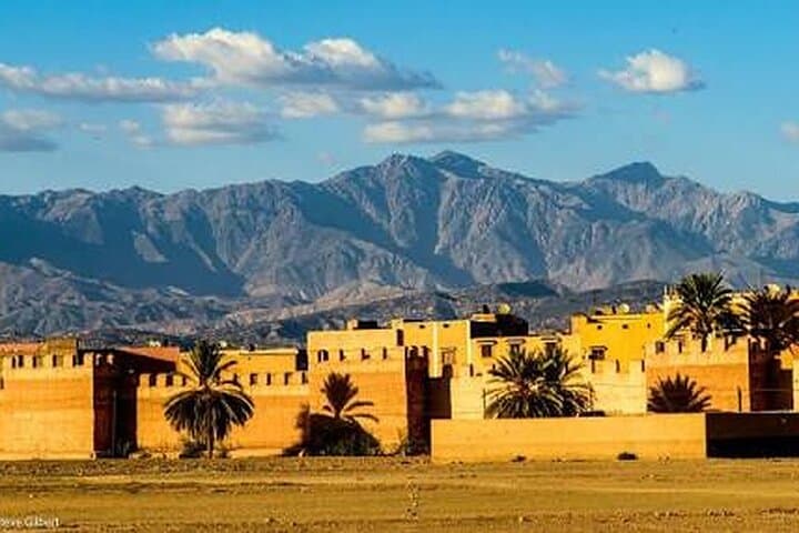 Taroudant Day Trip from Agadir: Explore Morocco’s Ancient Walled City & Tiout Oasis photo 5
