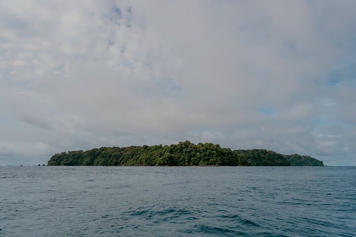 Discovery Scuba Diving at Caño Island: First Dive from Drake Bay photo 6