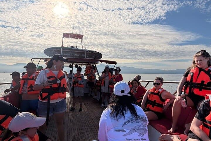 Hydrophone Whale Watching with Marine Biologist in Puerto Vallarta photo 2