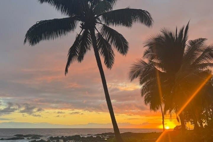 Kona Airport KOA to Waikoloa Resorts Luxury Private Transfer photo 3