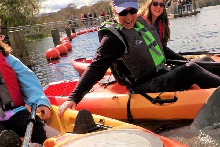 Blue Springs 4-Hour Manatee Kayak Tour — Paddle with Florida’s Winter Visitors photo 2