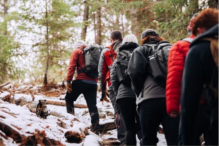 Explore Tahoe Forest With an ISA-Certified Arborist: Tree ID, Wood-Chopping & Campfire