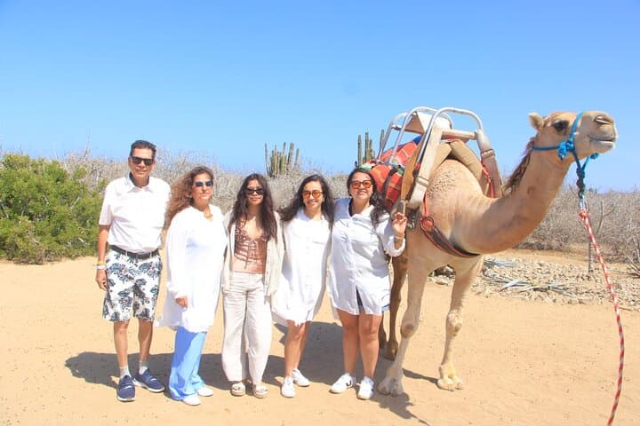 Los Cabos Desert ATV Tour: Dunes, Canyons & Pacific Beach Stop photo 6