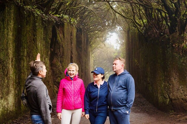 Anaga Hidden Gems: Half-Day Hiking Tour through Tenerife’s Laurel Forests photo 5