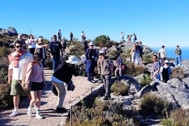Skip-the-Line Table Mountain Fast Track: 360° Cable Car to the Summit photo 6