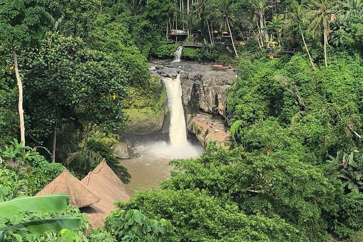 Full-Day Ubud Private Guided Tour — Monkey Forest, Tegalalang & Tirta Empul photo 6