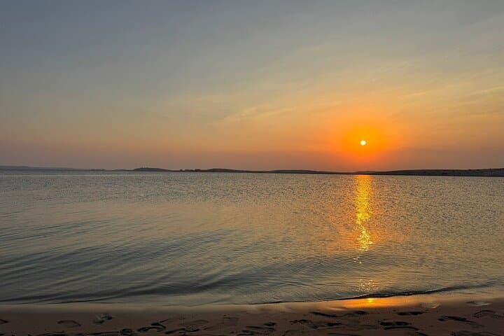 Doha Desert Transit Safari: Camel Ride, Dune Bashing & ATV Experience photo 5