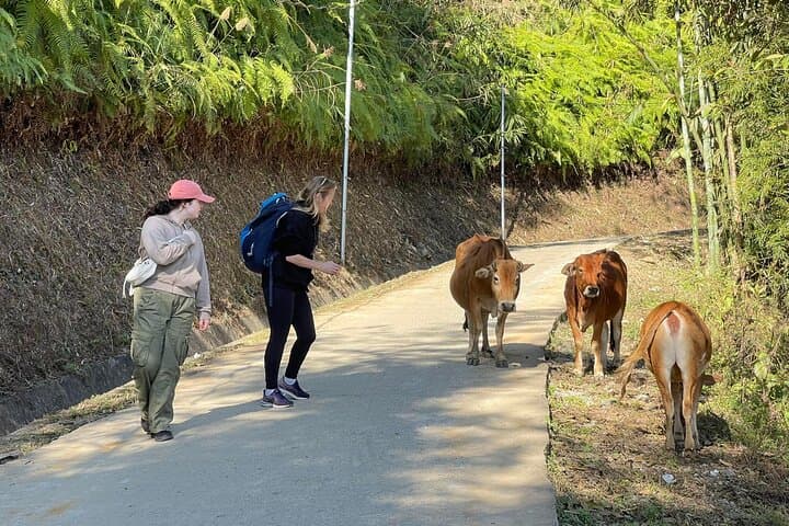 Sapa Easy Rider: 2-Day Scenic Motorbike Adventure Through Vietnam Highlands photo 6