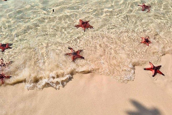 Phu Quoc North Island Kayaking and Cua Can River Full-Day Tour photo 2