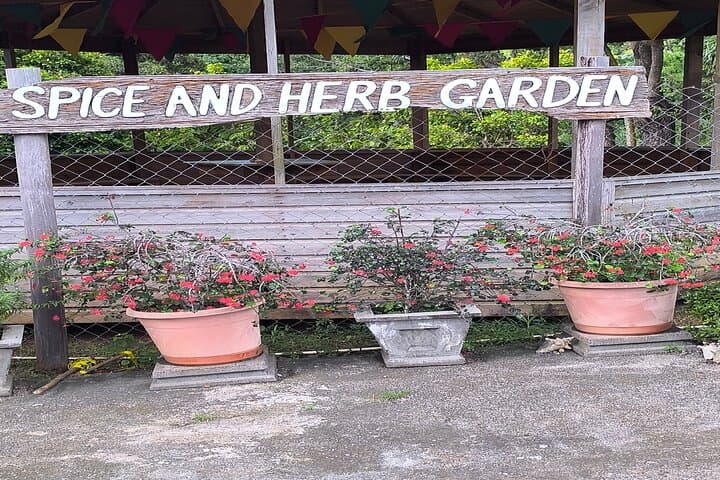 Half-Day Spice Necklace Tour in Grenada — Nutmeg, Chocolate & Grand Etang photo 3