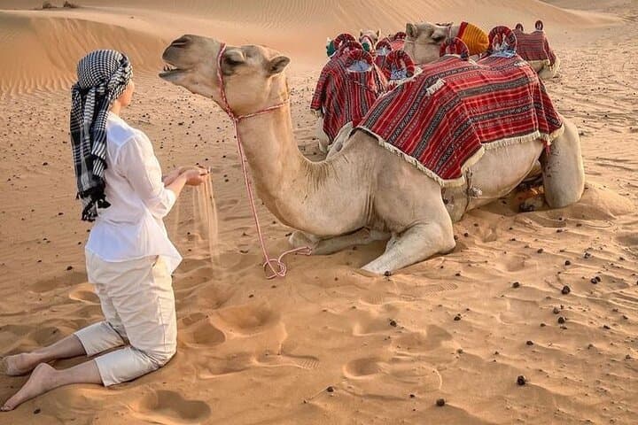 Dubai Morning Desert Safari: Dune Bashing, Camel Rides & Sand Boarding
