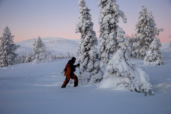 Levi Snowshoeing Adventure to Pallas‑Yllästunturi National Park