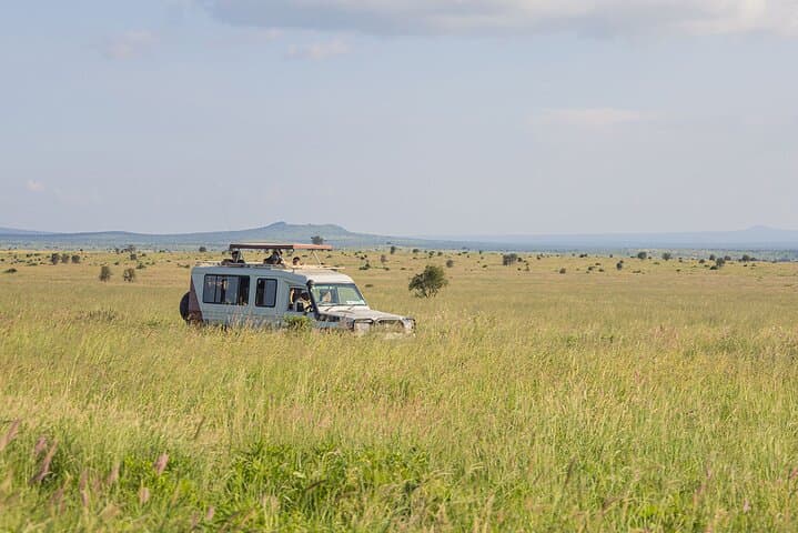 4-Day Kenya Safari: Amboseli, Taita Hills & Diani Beach Adventure photo 3