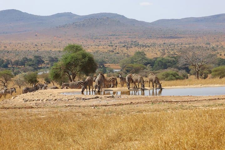 4-Day Kenya Safari: Amboseli, Taita Hills & Diani Beach Adventure photo 4