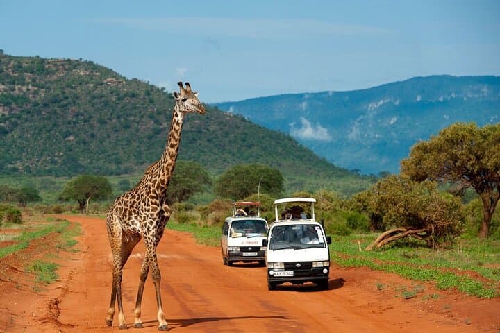 4-Day Kenya Safari: Amboseli, Taita Hills & Diani Beach Adventure photo 6
