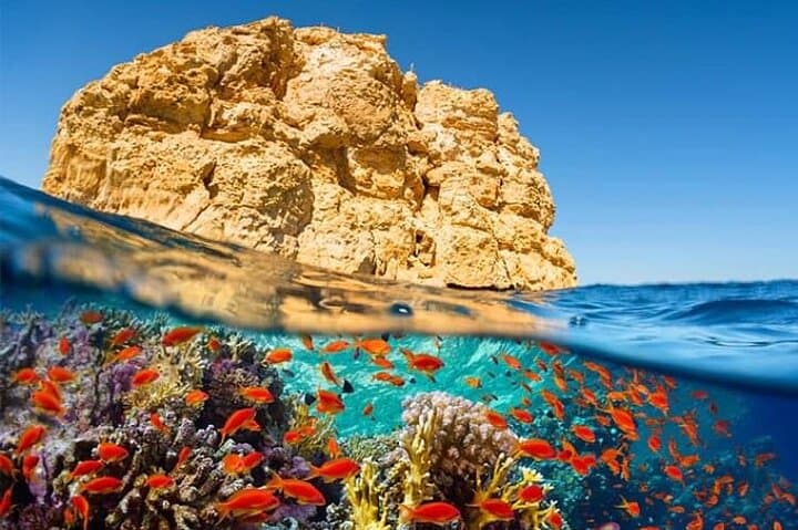 Sharm El-Sheikh Semi-Submarine Cruise: Underwater Viewing on the Red Sea photo 4