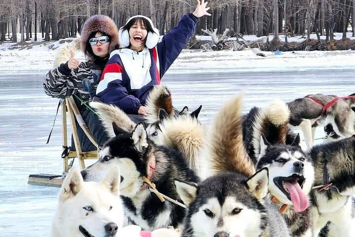 Lake Khövsgöl Winter Tour: 6-Day Khatgal, Taiga & Reindeer Experience photo 2