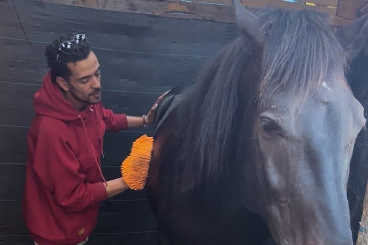 Guided Horse Grooming & Connection Experience in Essaouira photo 3