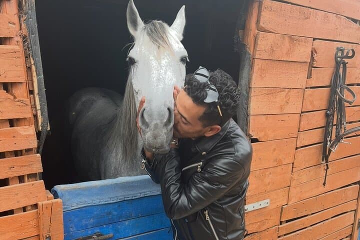 Guided Horse Grooming & Connection Experience in Essaouira photo 2