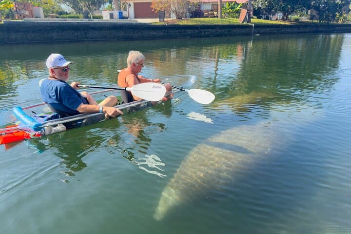 Crystal River Clear Kayak Manatee Tour: Guided Manatee Viewing in Florida photo 3