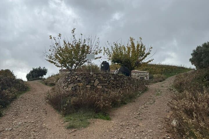 White Mountains Off-Road Expedition from Chania: 4x4 Trails, Ancient Olive Trees & Xyloskalo Views