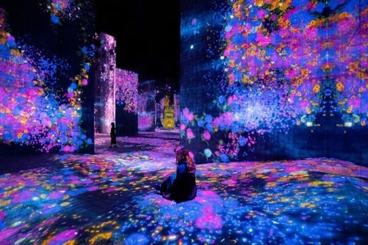 Experience teamLab Borderless Jeddah: Immersive Digital Art in the Red Sea City photo 6