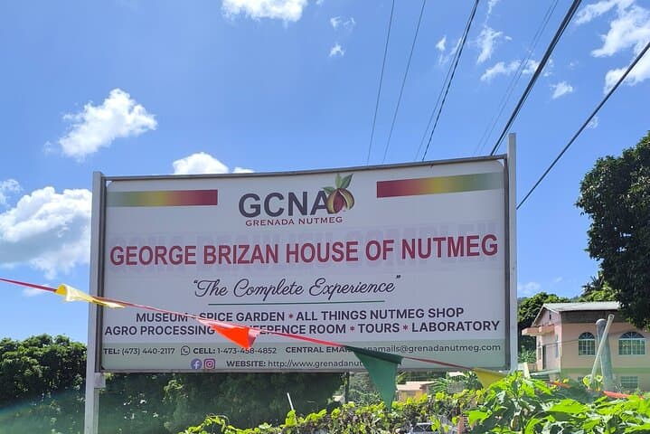 Half-Day Spice Necklace Tour in Grenada — Nutmeg, Chocolate & Grand Etang photo 4