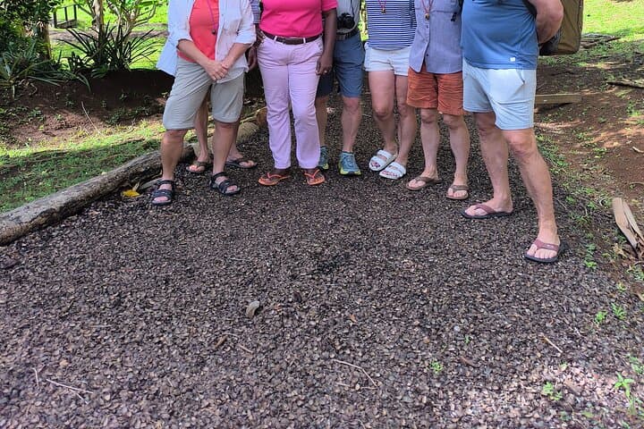 Half-Day Spice Necklace Tour in Grenada — Nutmeg, Chocolate & Grand Etang photo 6