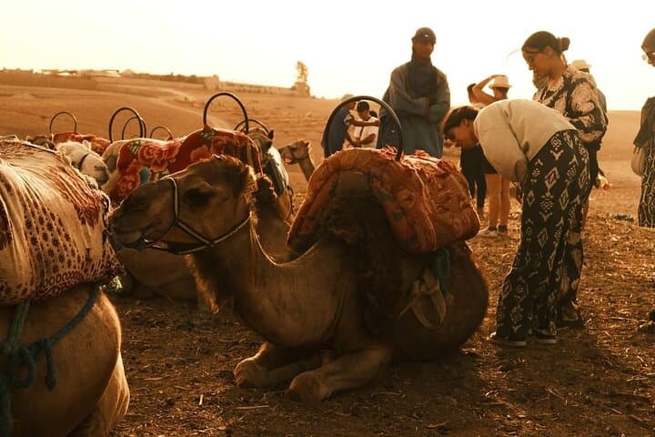 Agafay Desert Quad Bike, Sunset Camel Ride & Dinner Show from Marrakesh photo 5