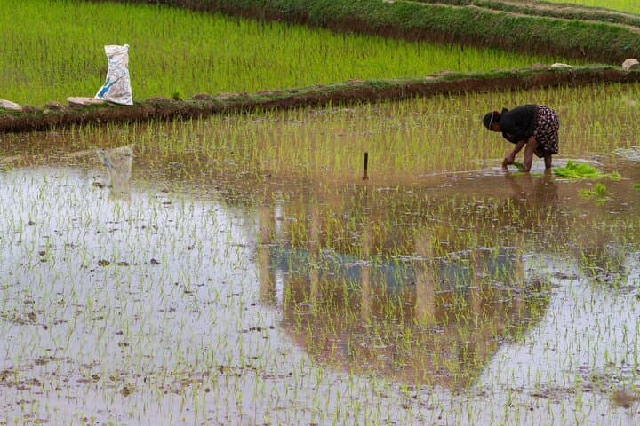 Moramora on RN7: 14-Day Madagascar Highlands-to-Coast Adventure photo 5