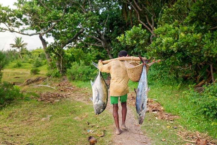 Madagascar East Coast Ecotourism: 14-Day Highlands-to-Coast 4x4 Expedition photo 3