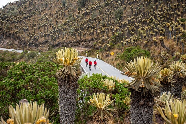 Conquer Alto de Letras: 7-Day Premium Cycling Tour & Cultural Immersion photo 5