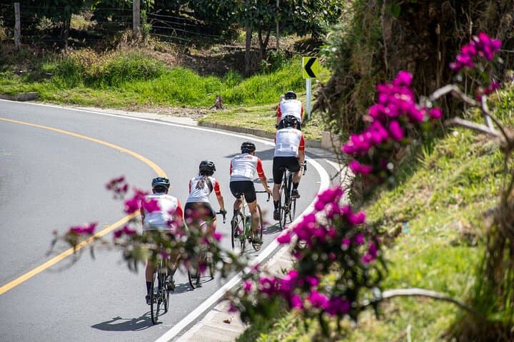Conquer Alto de Letras: 7-Day Premium Cycling Tour & Cultural Immersion photo 3