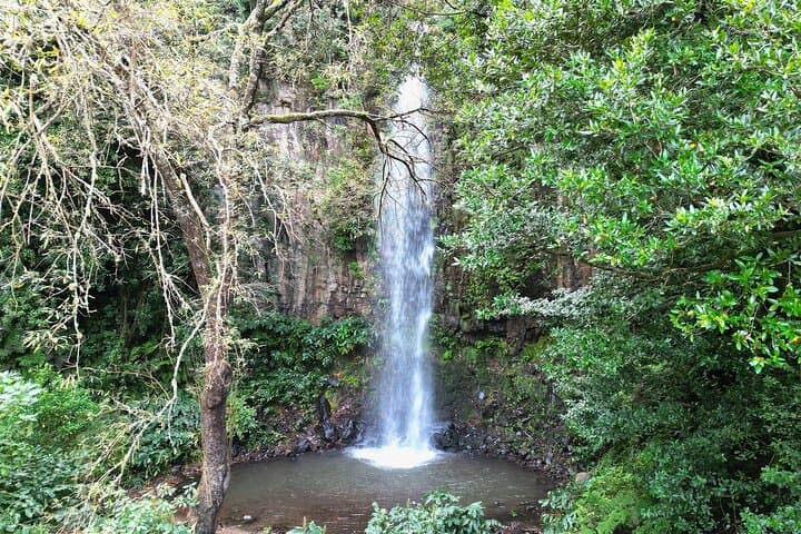 Madeira Private 4x4 Jeep Tour — Full-Day Custom Island Adventure photo 5