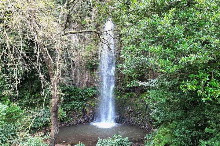 Private Half-Day 4x4 Jeep Tour of Madeira's Mountains & Coast photo 5