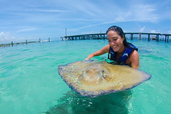 Sharks and Stingrays Snorkeling + Parasailing in Punta Cana photo 3